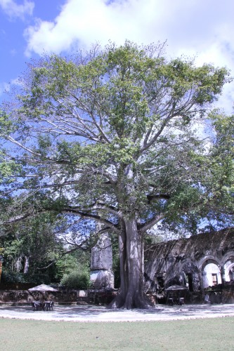 rodavento boutique hotel and spa,rodavento,valle de bravo,écolo lodge,paris,voyages,mexique,voyage au mexique,temptingplaces,http:www.temptingplaces.comboutique-hotels-fr,boutiques hôtels,isla holbox,yucatan,haciendas,hacienda santa rosa,hacienda uayamon,hacienda san josé,hacienda temozon,hacienda puerta campeche,campeche